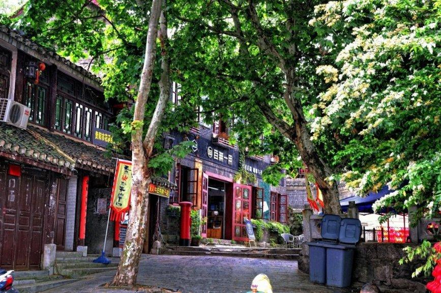 李嘉欣和许晋亨现身马场，夫妻俩手牵手亮相，展现出恩爱的一面！